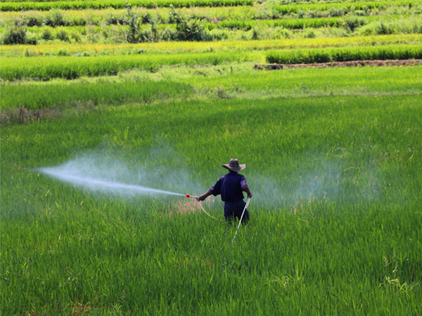 農作物種植病蟲害防治技術大全