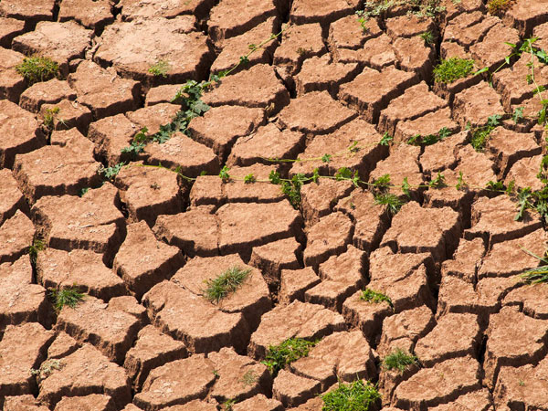 當前黃淮?？购当Ｏ牟ゼ夹g意見