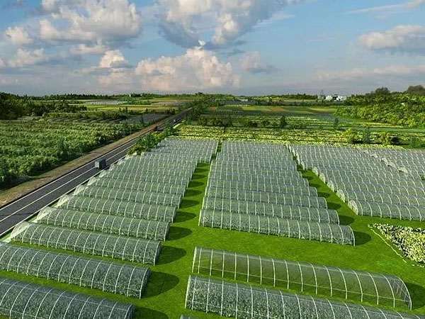 調(diào)控環(huán)境+防雨防災(zāi)助越夏蔬菜安全生長